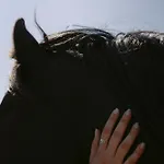 Black Rose Hotell Perissa (Santorini)