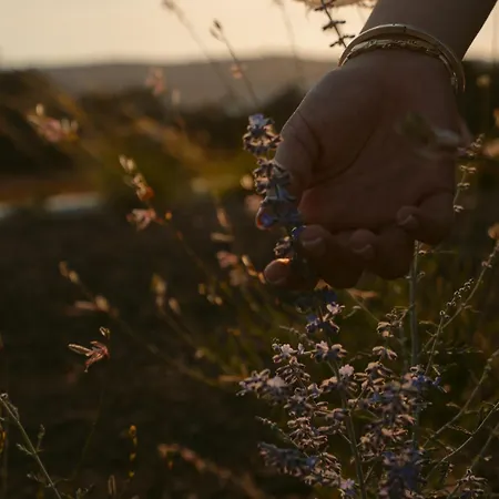 Black Rose 3* Perissa (Santorini)