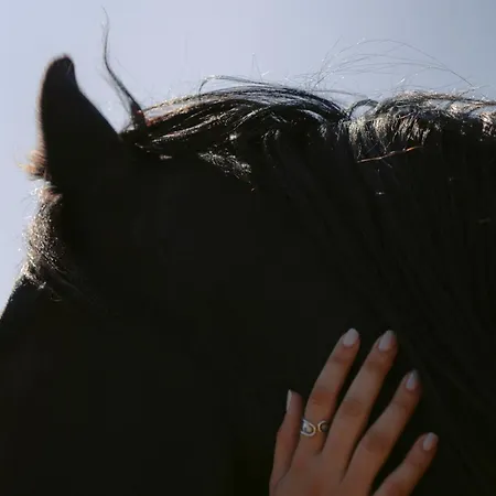 Black Rose Hotel Perissa (Santorini)