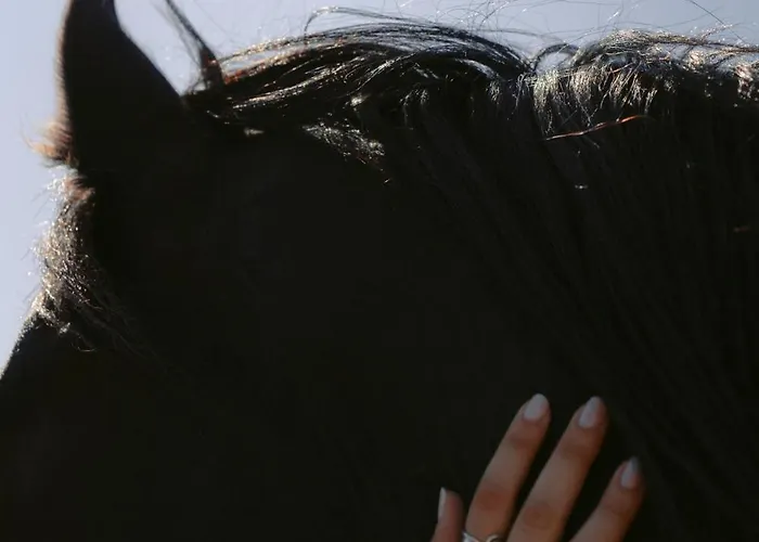 Black Rose Hotel Perissa (Santorini)