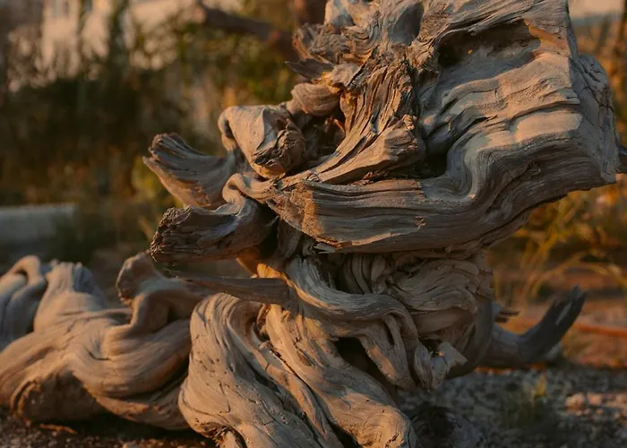 Hotell Black Rose Perissa (Santorini)