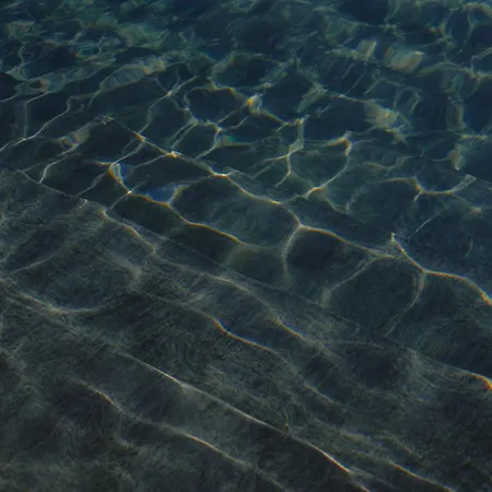 Black Rose 3* ペリッサ