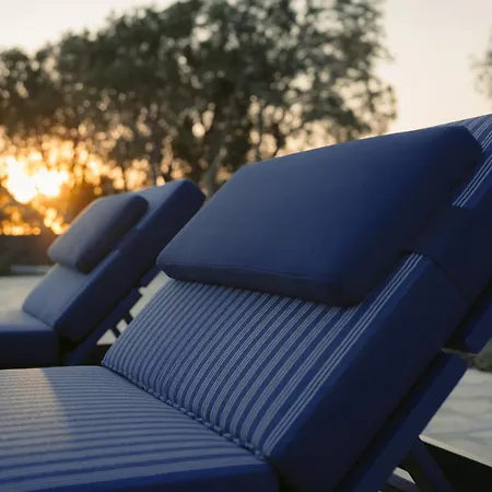 Black Rose פריסה