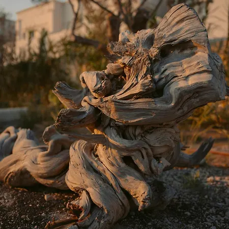 ホテル Black Rose ペリッサ