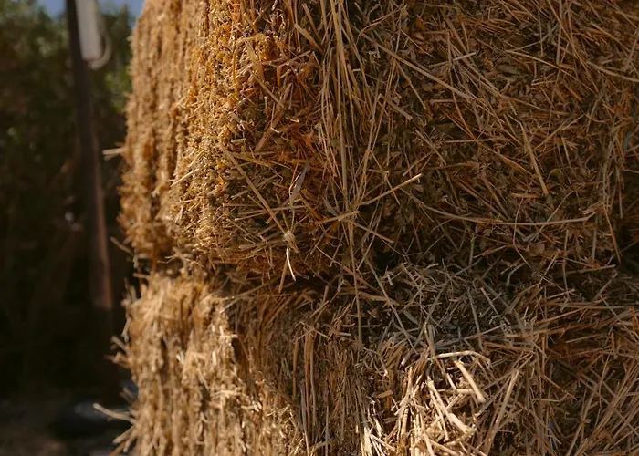 黑玫瑰海滩套房酒店 3*