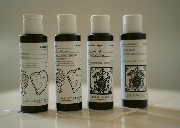 黑玫瑰海滩套房酒店 3*