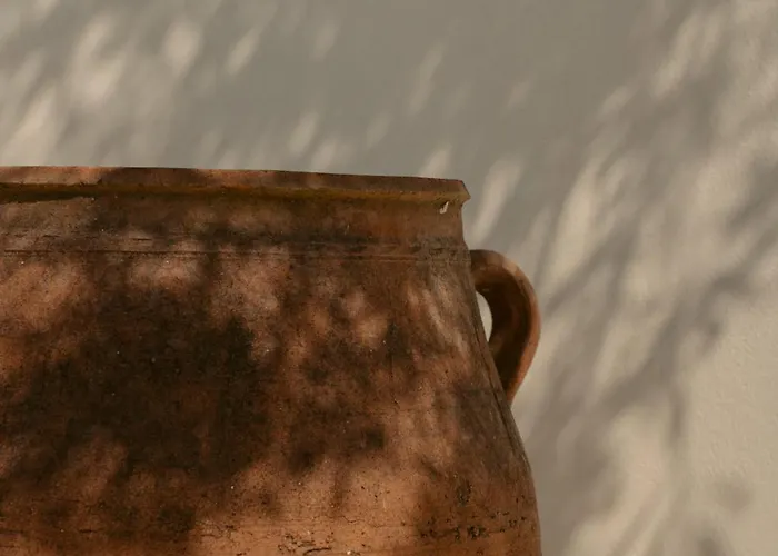 黑玫瑰海滩套房酒店 酒店 佩里萨