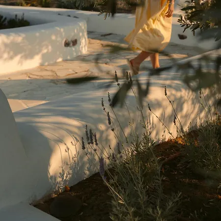 Ξενοδοχείο Black Rose